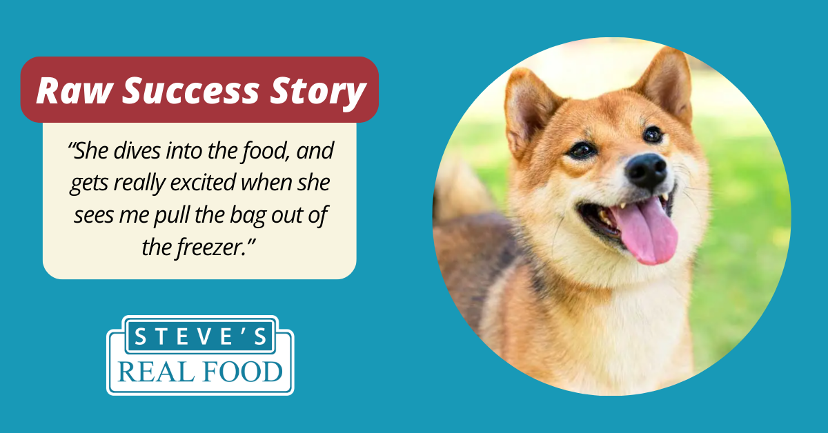 Picky Dog Success Story
