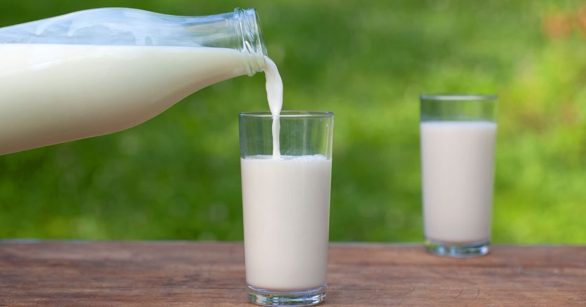 pouring goat milk for dogs and cats into a glass