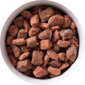 FROZEN bowl of beef raw food