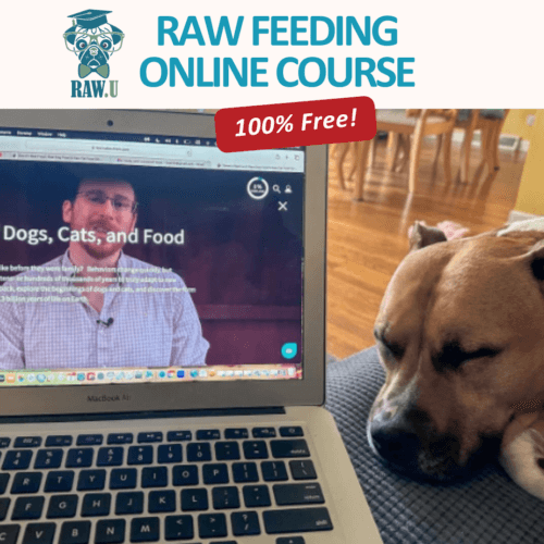 consumer raw u