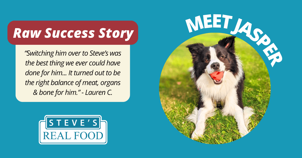 Raw Success Story
