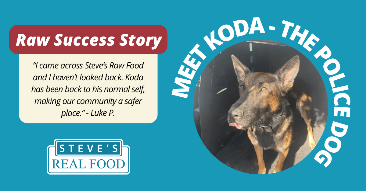 Steves Raw Success Story