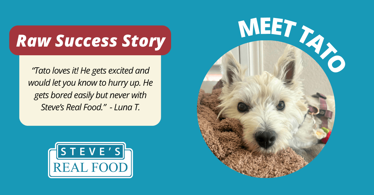 Raw Success Story