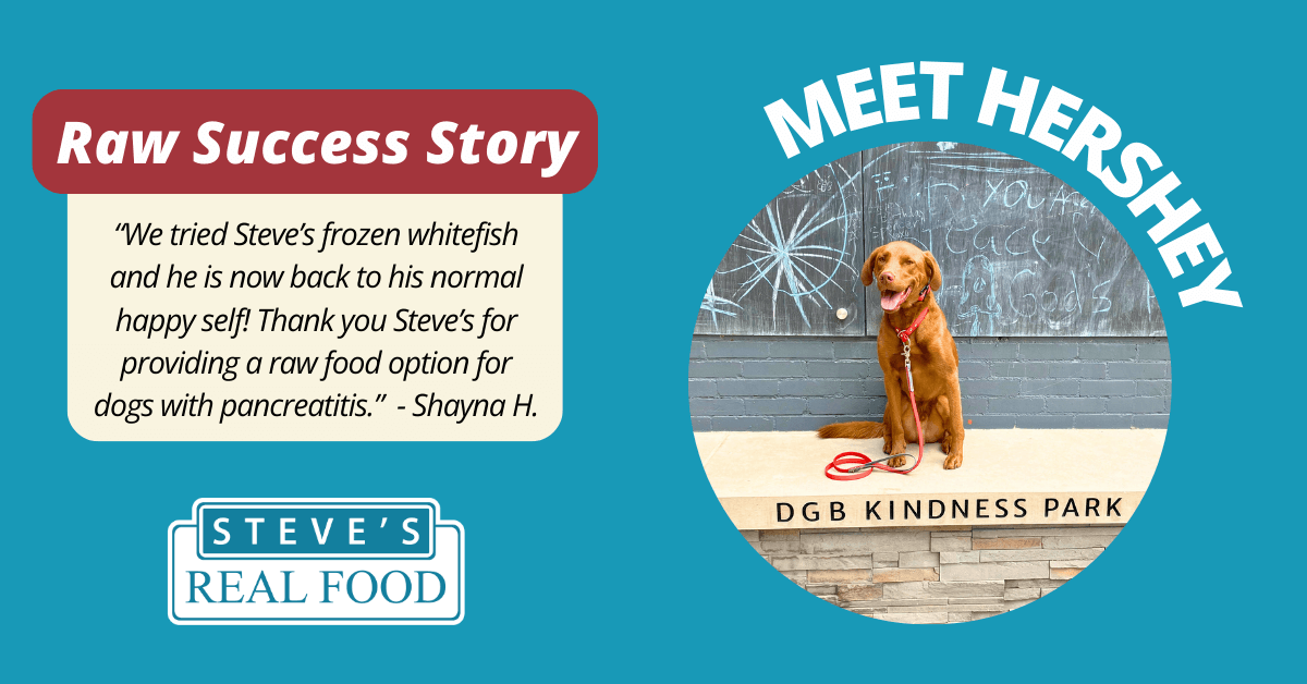 Raw Success Story