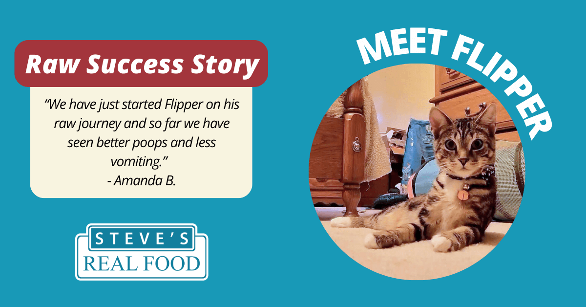 Raw Success Story