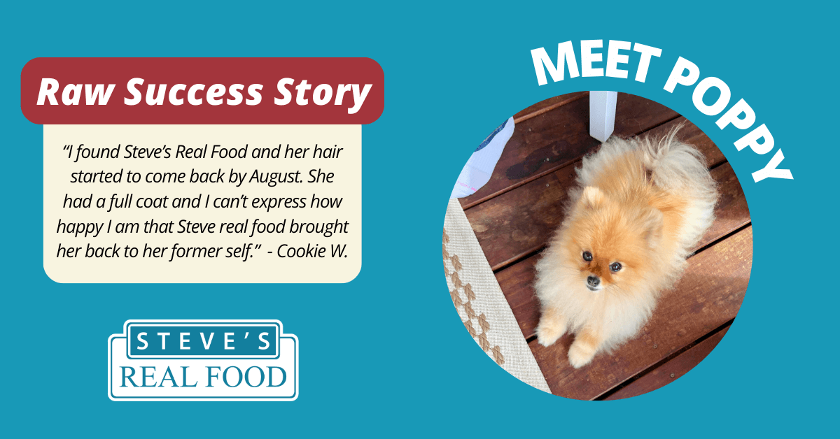 Raw Success Story