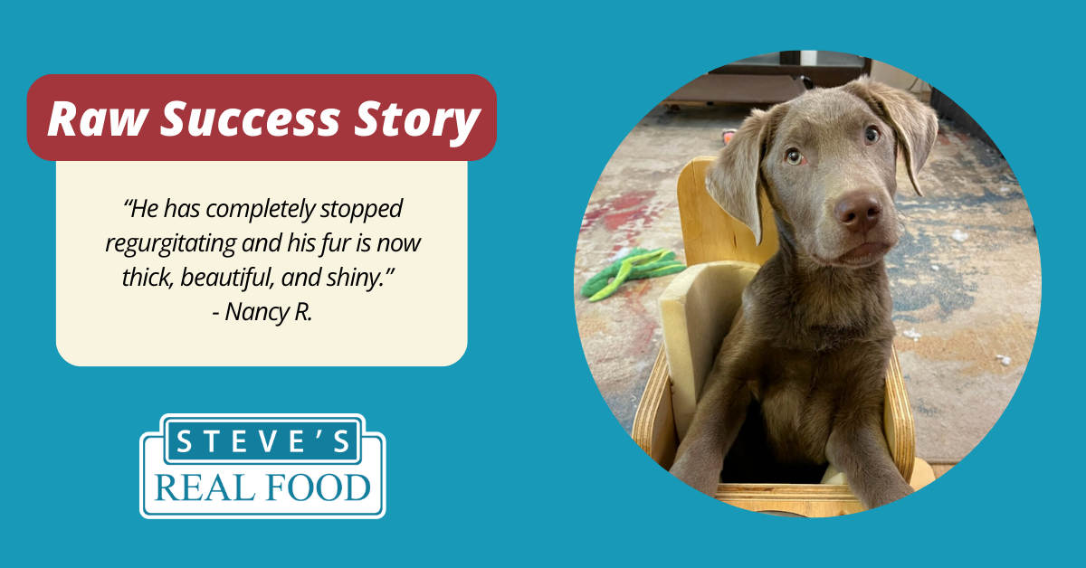 Steves Raw Success Story