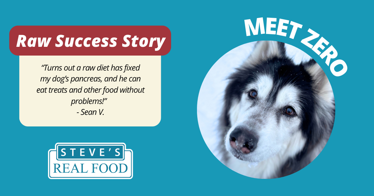 Steves Raw Success Story