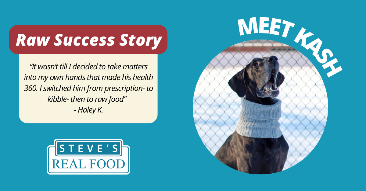 Steves Raw Success Story