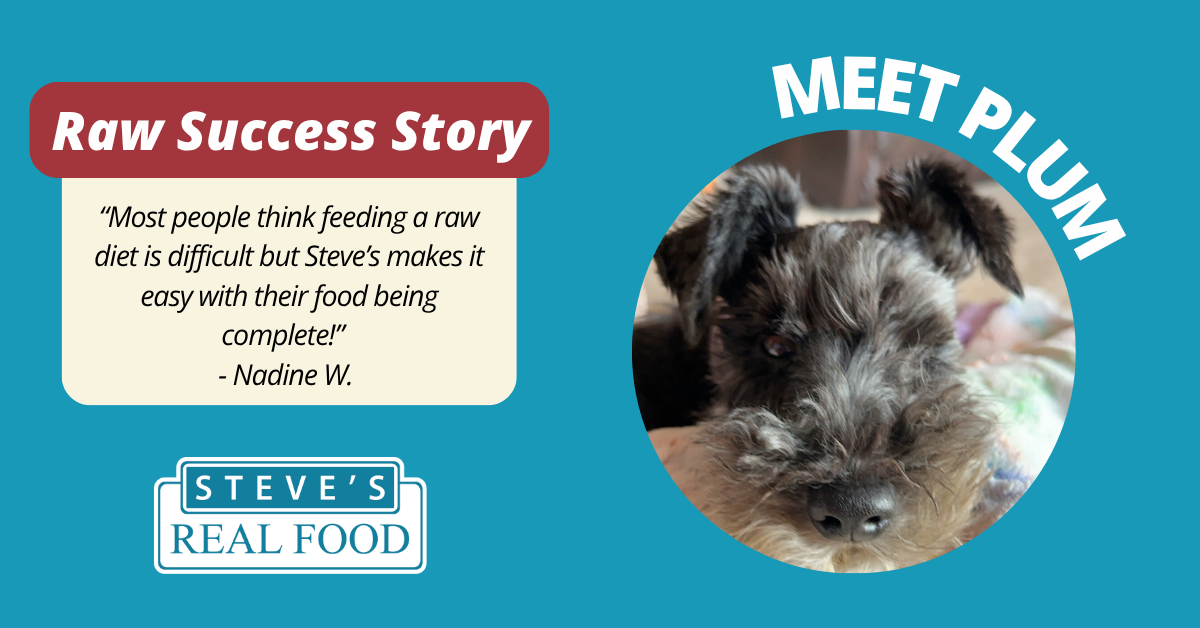 Success Story on Steves Real Food