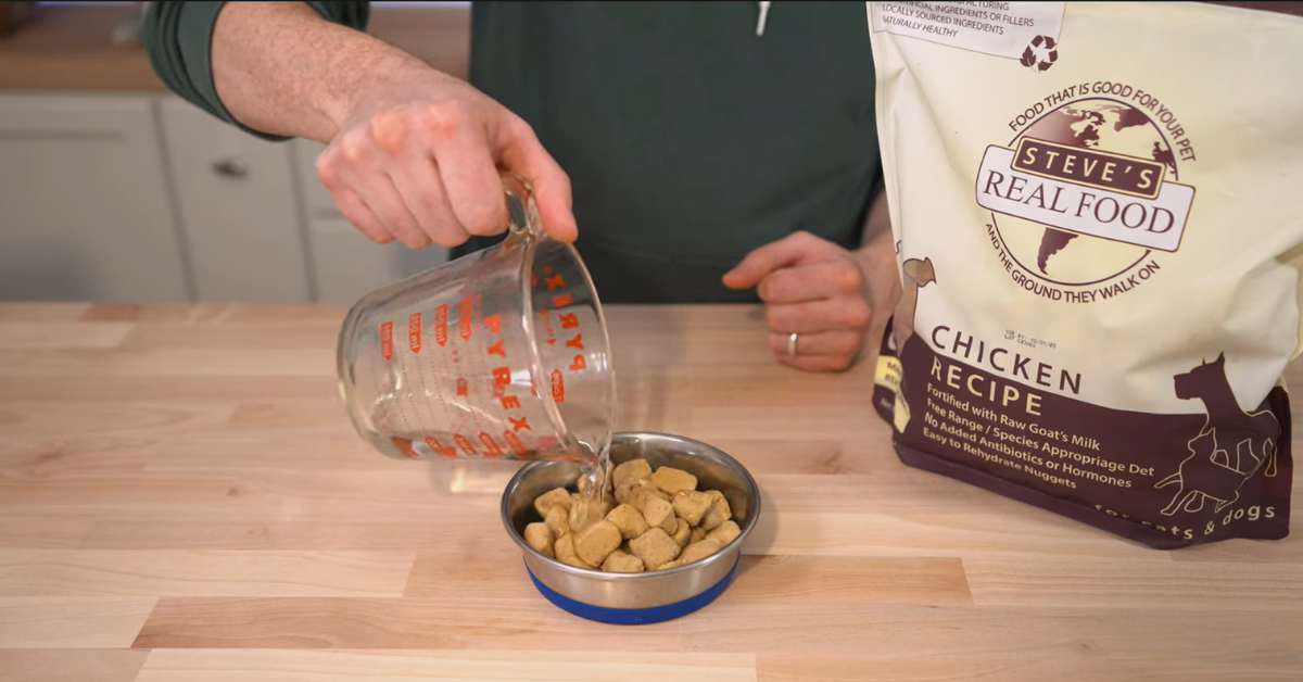 pouring water over freeze dried raw dog food